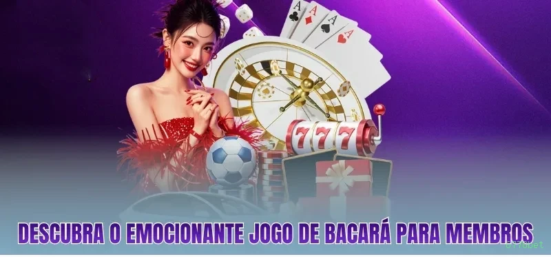 Suporte 6778bet